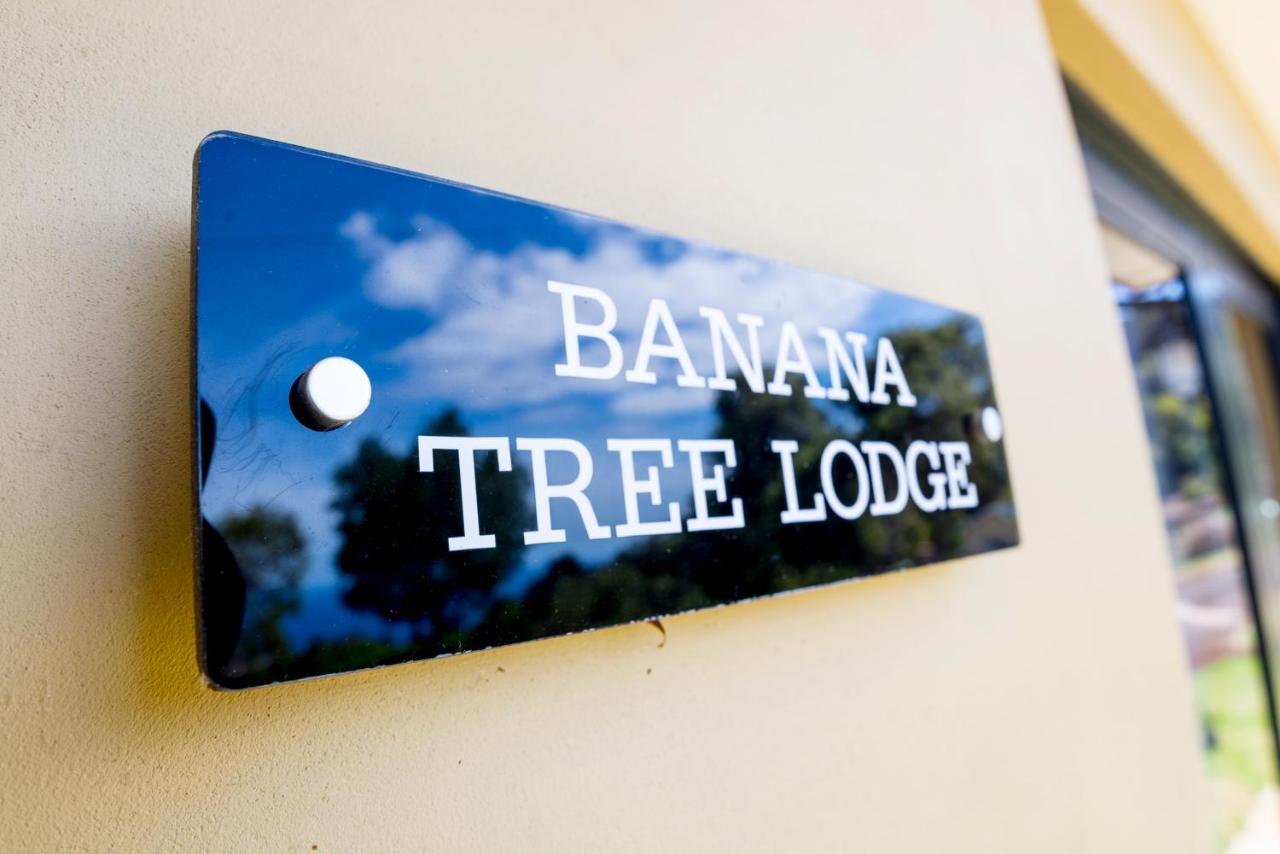 Banana Tree Lodge Jamestown 外观 照片